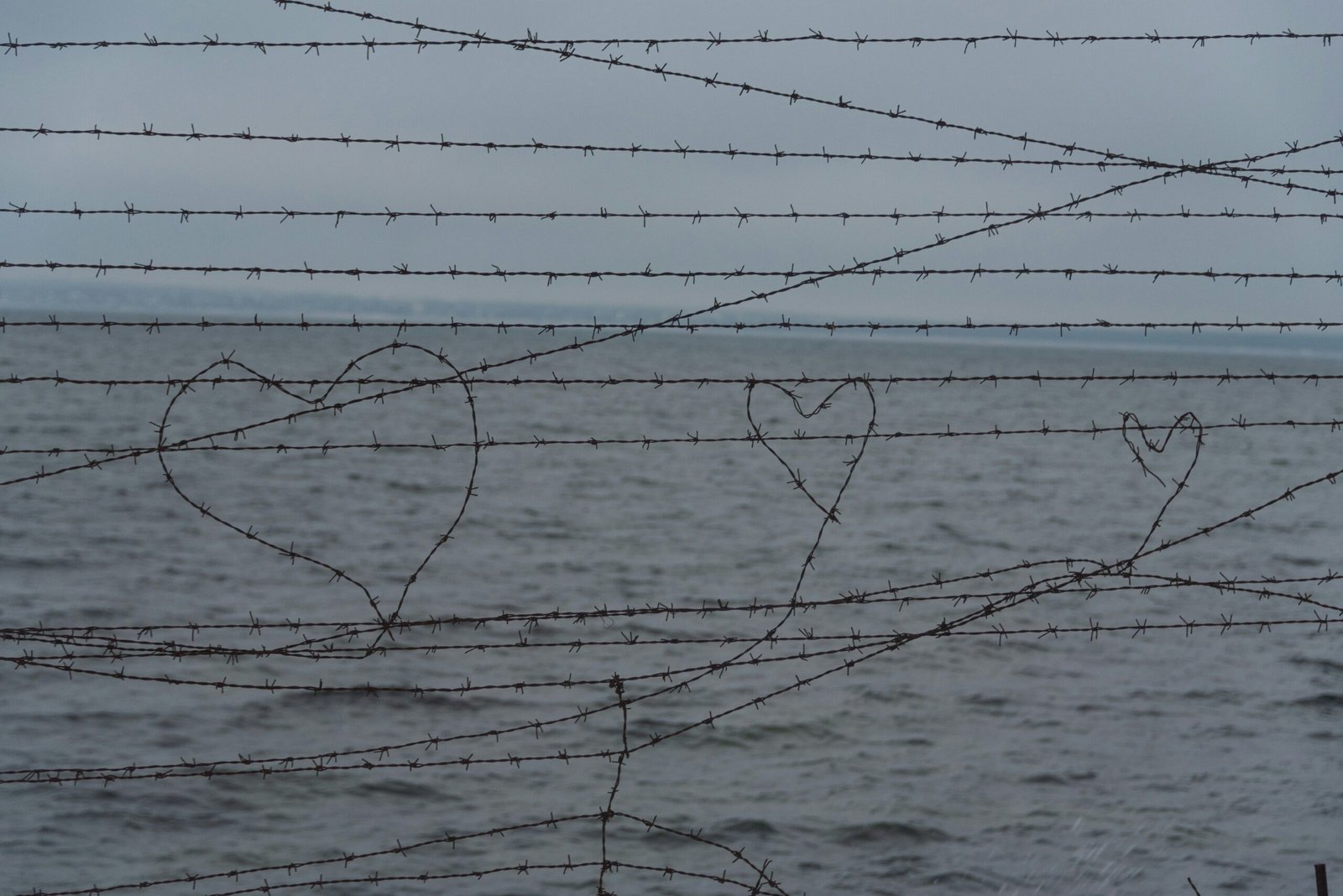 a couple of hearts drawn on a barbed wire fence